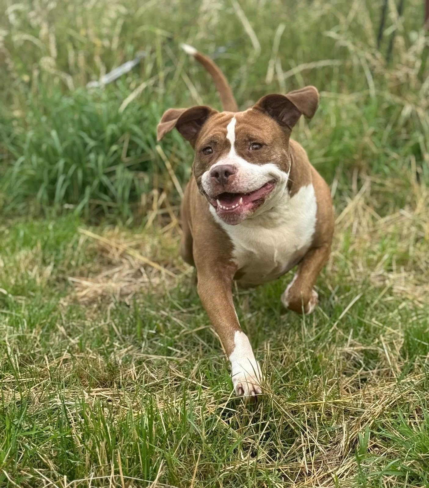 Murfy 3